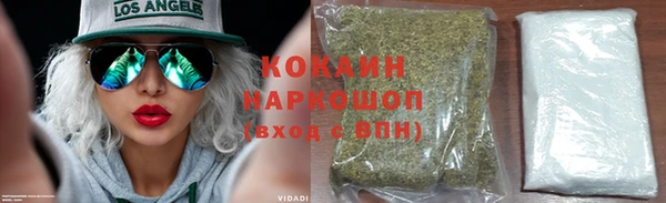 соль ск Гусев