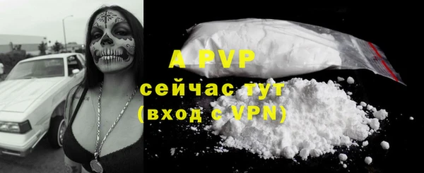 гидра Дмитров