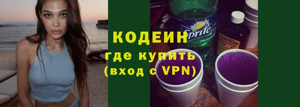 соль ск Гусев
