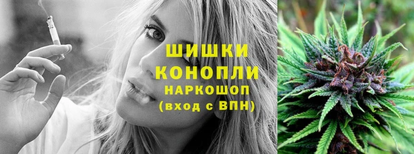 гидра Дмитров