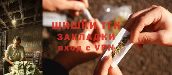 соль ск Гусев