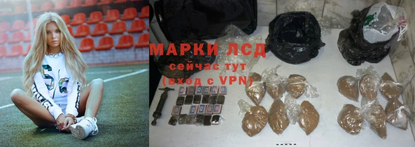 соль ск Гусев