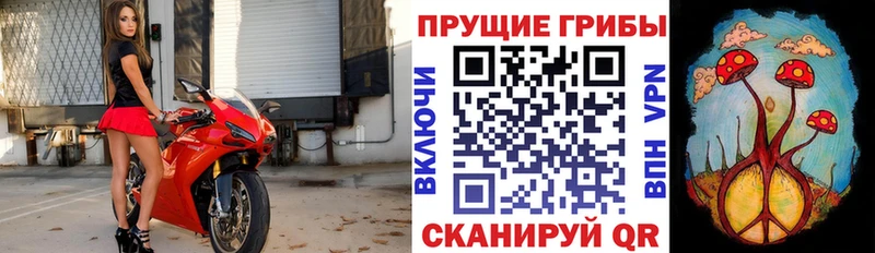 мега ССЫЛКА  Старица  Галлюциногенные грибы прущие грибы 